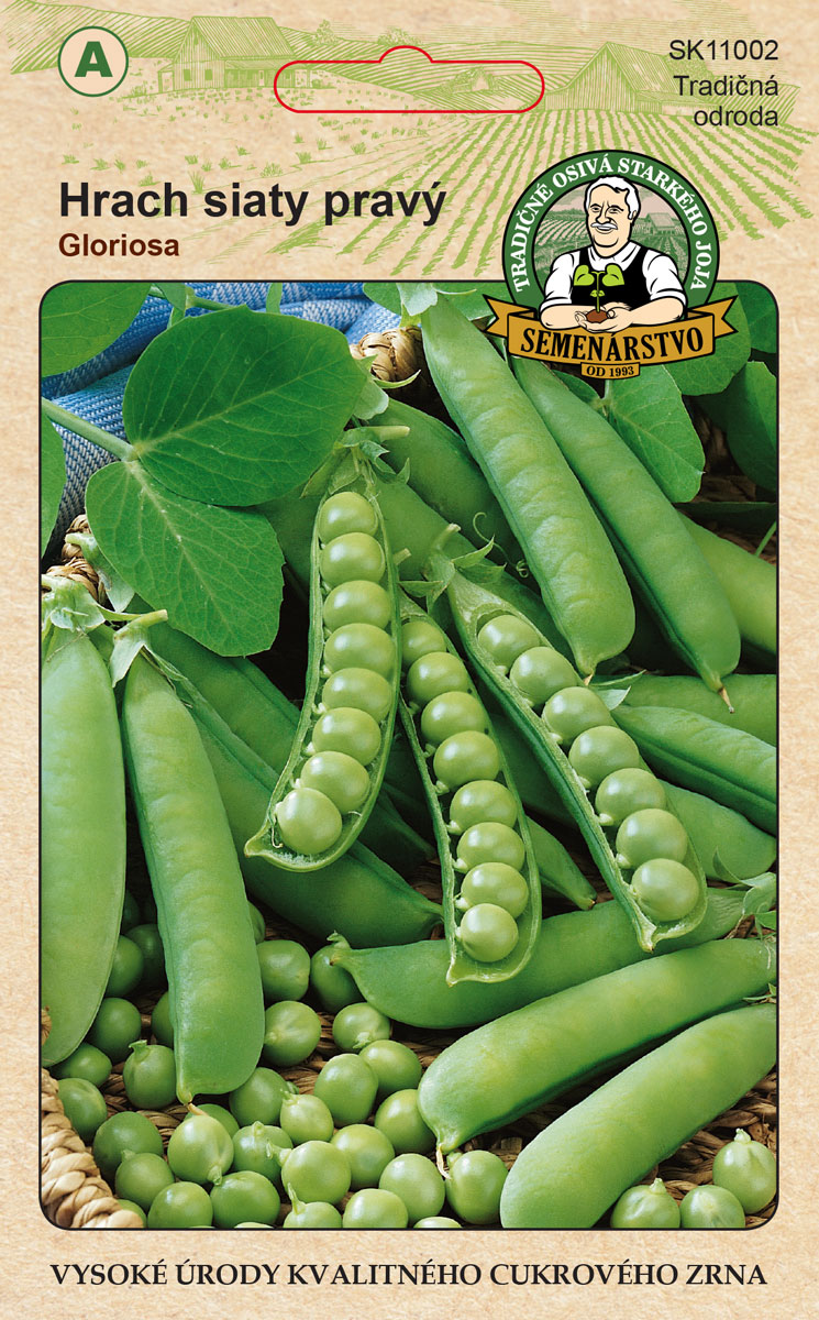 Hrach siaty pravý GLORIOSA