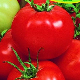 Paradajka MILICA F1