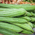 Lufa valcovitá (Luffa Cylindrica)