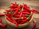 Chilli a iné pálivé papriky | Záhradníctvo EMMA