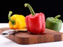 Priesady sladkej papriky | Záhradníctvo EMMA