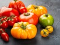 Veľký sortiment priesad paradajok | Záhradníctvo EMMA