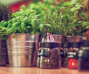 12 najchutnejších byliniek do kuchyne