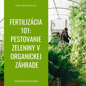 Fertilizácia 101: pestovanie zeleniny v organickej záhrade