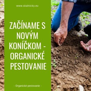 Začíname s novým koníčkom – organické pestovanie