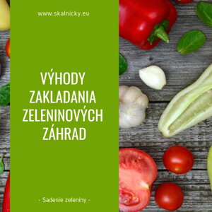 Výhody zakladania zeleninových záhrad