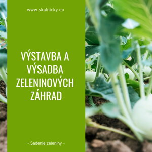 Výstavba a výsadba zeleninových záhrad
