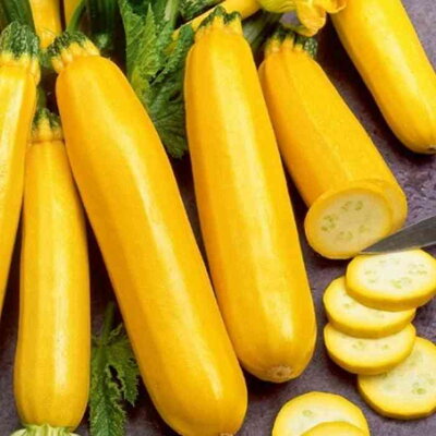 Cuketa Bananowy Song F1