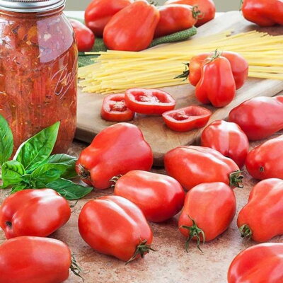 Paradajka San Marzano