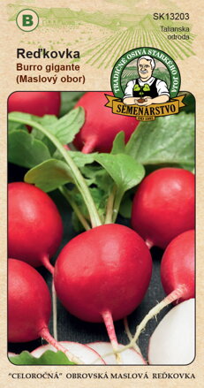 Reďkovka BURRO GIGANTE