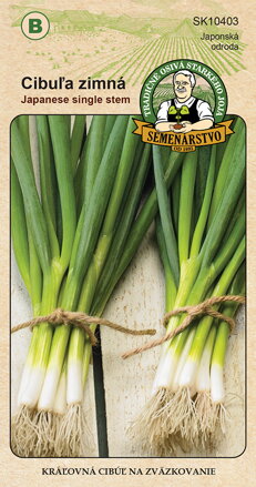 Cibuľa zimná JAPANESE SINGLE STEM