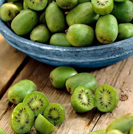 Kiwi ISSAI (samoopelivé)