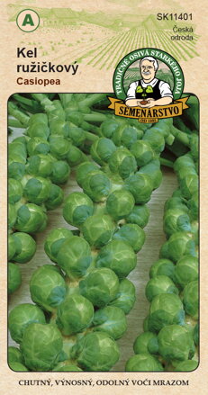 Kel ružičkový CASIOPEA