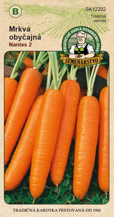 Mrkva obyčajná NANTES 2