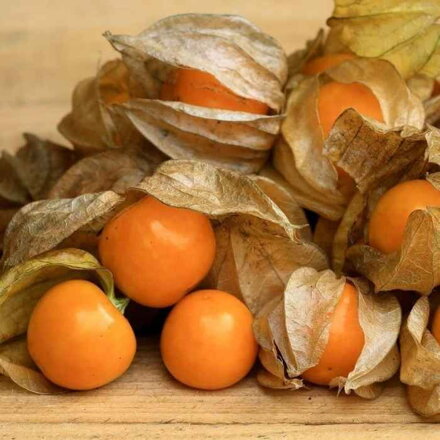 Physalis peruviana - "Židovská čerešňa"