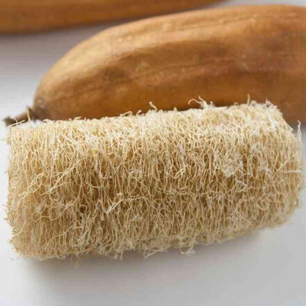 Lufa valcovitá (Luffa Cylindrica)