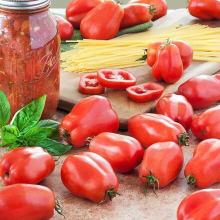 Paradajka San Marzano