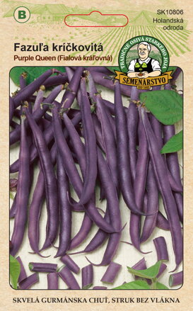 Fazuľa kríčkovitá PURPLE QUEEN