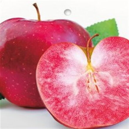 Jabloň RED LOVE® (zimná)