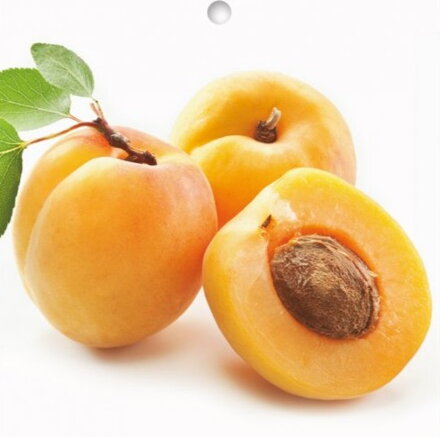 Marhuľa SIRENA (neskorá)