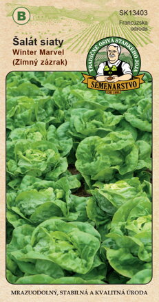 Šalát siaty WINTER MARVEL