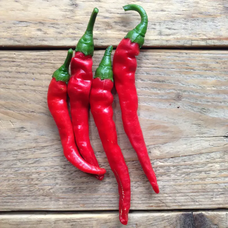 Chilli Cayenne long slim