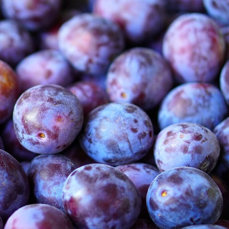 Slivka BYSTRICKÁ (veľmi neskorá)