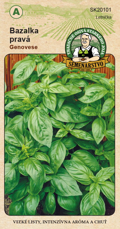 Bazalka pravá GENOVESE