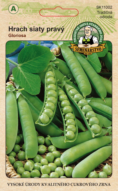 Hrach siaty pravý GLORIOSA