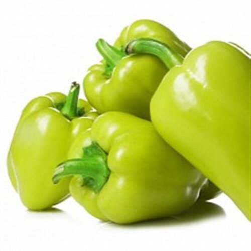 Paprika PCR