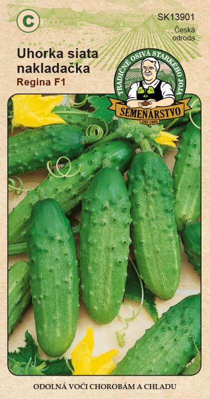 Uhorka siata nakladačka REGINA F1