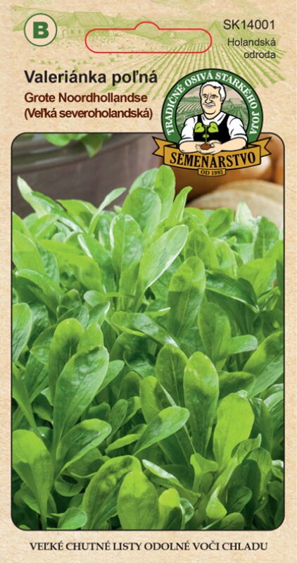 Valeriána poľná GROTE NOORDHOLLANDSE