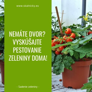 Nemáte dvor? Vyskúšajte pestovanie zeleniny doma!