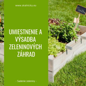 Umiestnenie a výsadba zeleninových záhrad