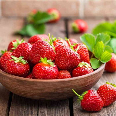 10x jahody 'Selva' (stálerodiaca odroda)