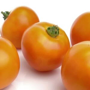Paradajka Oranže