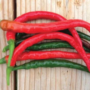 Paprika DAMIÁN
