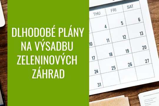 Dlhodobé plány na výsadbu zeleninových záhrad