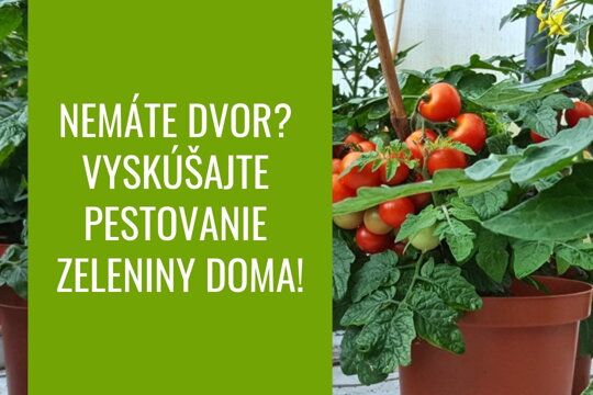Nemáte dvor? Vyskúšajte pestovanie zeleniny doma!