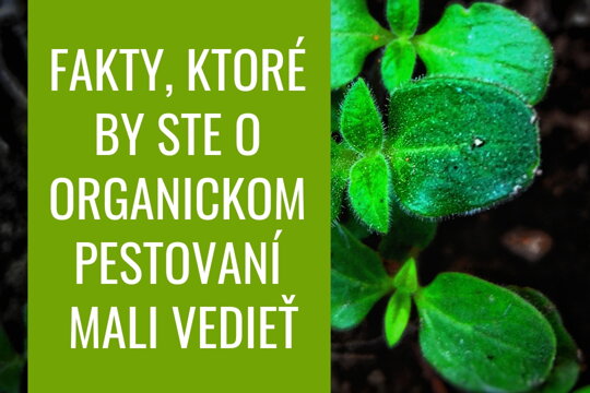 Fakty, ktoré by ste o organickom pestovaní mali vedieť