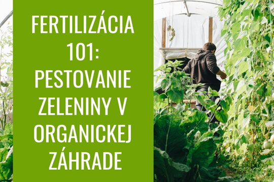 Fertilizácia 101: pestovanie zeleniny v organickej záhrade