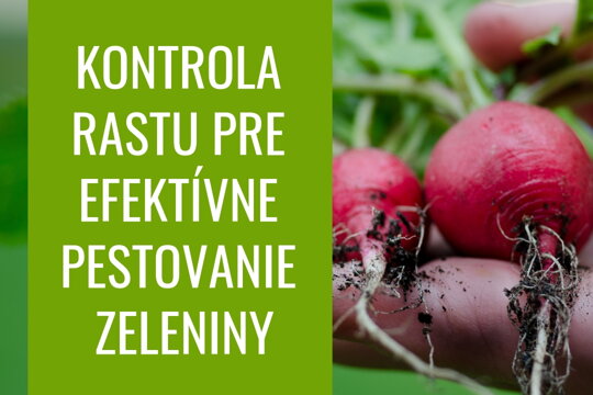 Kontrola rastu pre efektívne pestovanie zeleniny