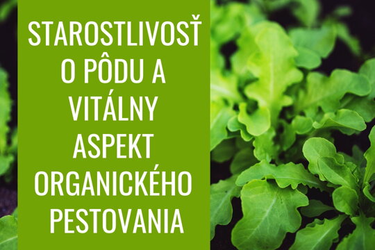 Starostlivosť o pôdu a vitálny aspekt organického pestovania