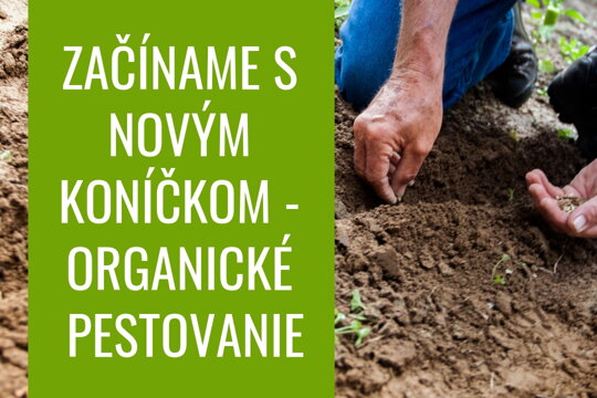 Začíname s novým koníčkom – organické pestovanie