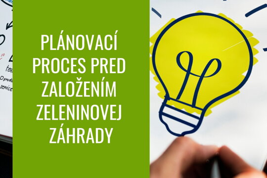 Plánovací proces pred založením zeleninovej záhrady