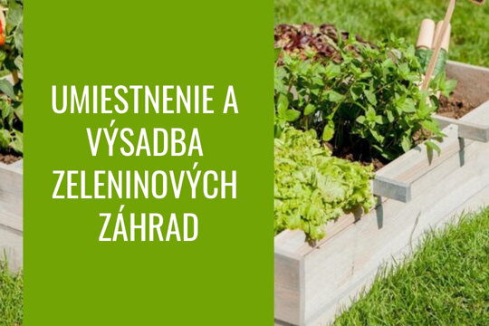 Umiestnenie a výsadba zeleninových záhrad