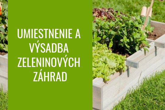 Umiestnenie a výsadba zeleninových záhrad